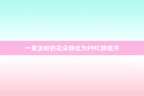 一束淡粉的花朵静优为PMC静敞开